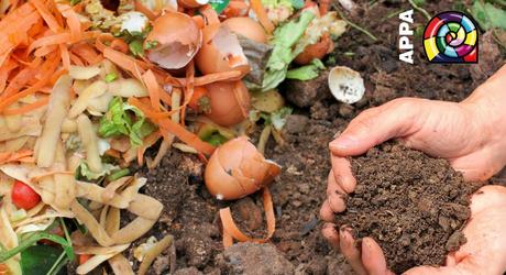 A scuola si sta ... compost! Il compostaggio in natura A scuola si sta ... compost! Il compostaggio in natura