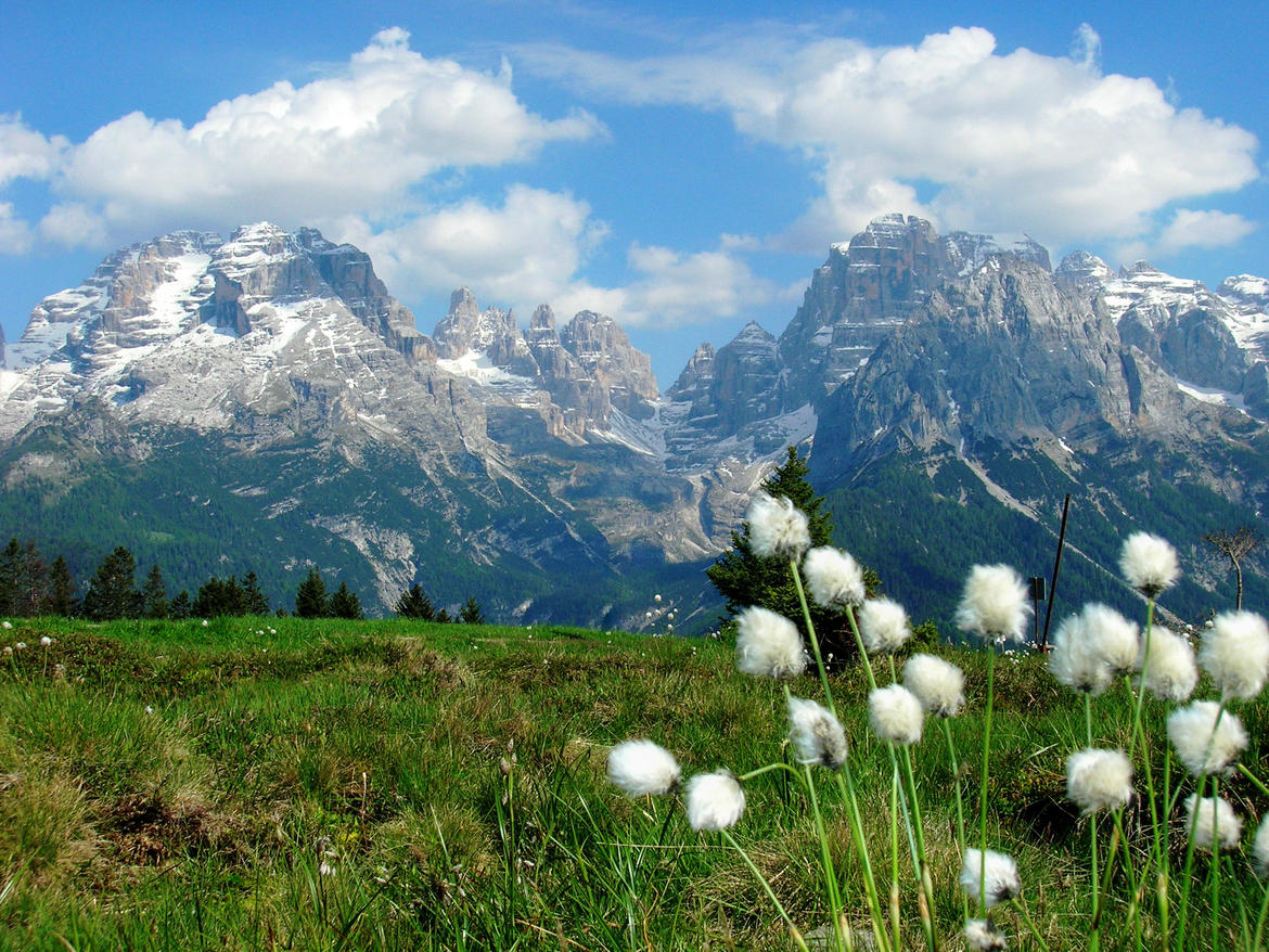 TURISMO SCOLASTICO Nel Parco in punta di piedi biodiversità