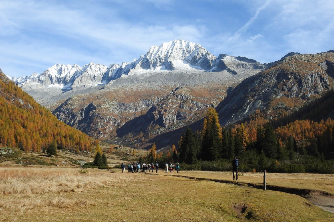 A scuola nel Parco: Cambia il clima. La natura del parco risponde -  Educazione ambientale e alla sostenibilità