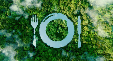 Ma... i mangi il mondo? Fermiamo lo spreco alimentare Ma... i mangi il mondo? Fermiamo lo spreco alimentare